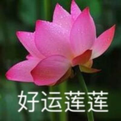 最游记物语游戏下载